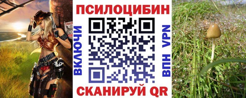 Галлюциногенные грибы Psilocybe  Купить  Асбест 